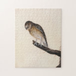 Little Owl | William Lewin Legpuzzel<br><div class="desc">Little Owl (before 1790) | William Lewin’s Little Owl is a charming and precise painting featuring a small brown owl perched on a branch against a minimalist neutral background. The artwork captures the owl’s expressive gaze, soft feathers, and compact form with great attention to detail. The simple setting enhances the...</div>