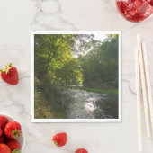 Little Patuxent River van Savage Park Servet (Insitu)