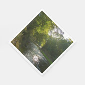 Little Patuxent River van Savage Park Servet (Hoek)