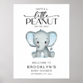 Little Peanut Elephant Baby shower Welkomstbord Poster (Voorkant)