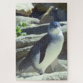 Little Penguin Legpuzzel (Verticaal)