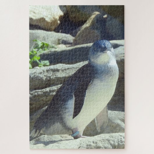 Little Penguin Legpuzzel (Verticaal)