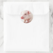 Little Pig Ronde Sticker (Tas)