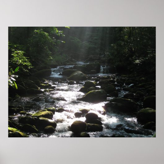 Little Pigeon River 2 Poster (Voorkant)
