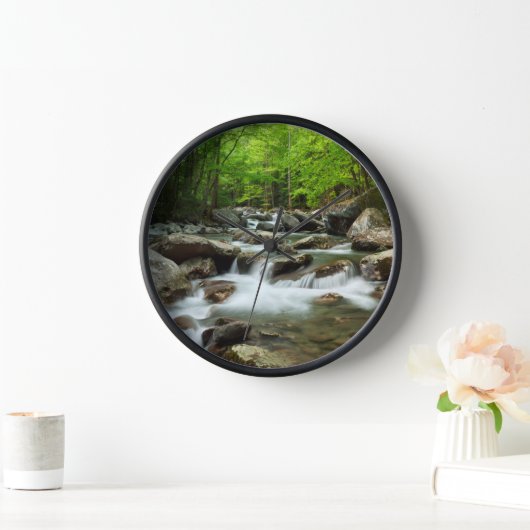 Little Pigeon River bij Greenbrier (Huis)