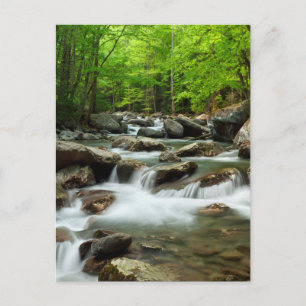 Little Pigeon River bij Greenbrier Briefkaart