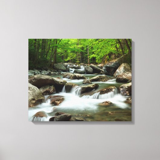 Little Pigeon River bij Greenbrier Canvas Afdruk (Voorkant)