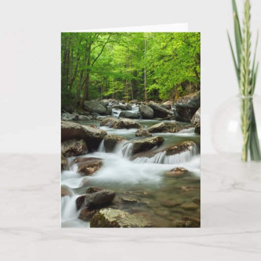 Little Pigeon River bij Greenbrier Kaart (Voorkant)