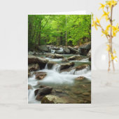 Little Pigeon River bij Greenbrier Kaart (Gele Bloem)