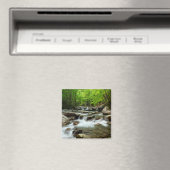 Little Pigeon River bij Greenbrier Magneet (Insitu (Vaatwasser))
