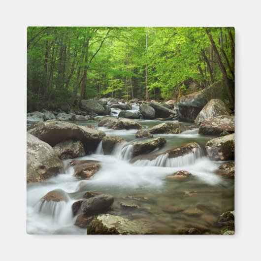 Little Pigeon River bij Greenbrier Magneet (Voorkant)