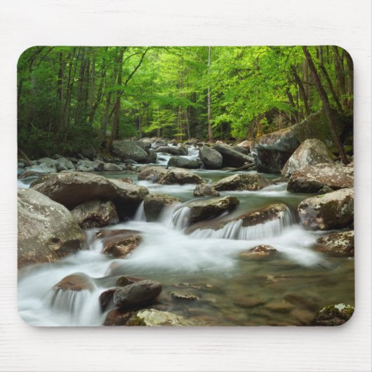 Little Pigeon River bij Greenbrier Muismat (Voorkant)