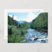 Little Pigeon River Briefkaart (historisch) (Voorkant / Achterkant)
