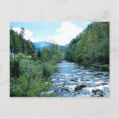 Little Pigeon River Briefkaart (historisch) (Voorkant)