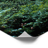 Little Pigeon River Poster (historisch) (Hoek)