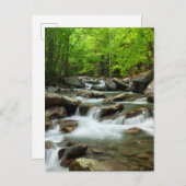 Little Pigeon River van Greenbrier Briefkaart (Voorkant / Achterkant)