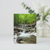 Little Pigeon River van Greenbrier Briefkaart (Staand voorkant)