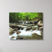 Little Pigeon River van Greenbrier Canvas Afdruk (Voorkant)
