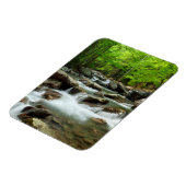 Little Pigeon River van Greenbrier Magneet (Linkerzijde)