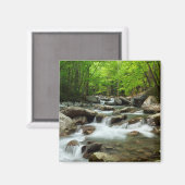 Little Pigeon River van Greenbrier Magneet (Voorkant / Achterkant)