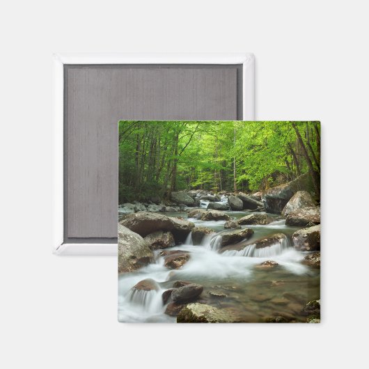 Little Pigeon River van Greenbrier Magneet (Voorkant / Achterkant)