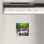 Little Pigeon River van Greenbrier Magneet (Insitu (Vaatwasser))