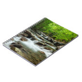 Little Pigeon River van Greenbrier Notitieboek (Linkerzijde)