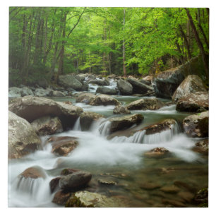 Little Pigeon River van Greenbrier Tegeltje