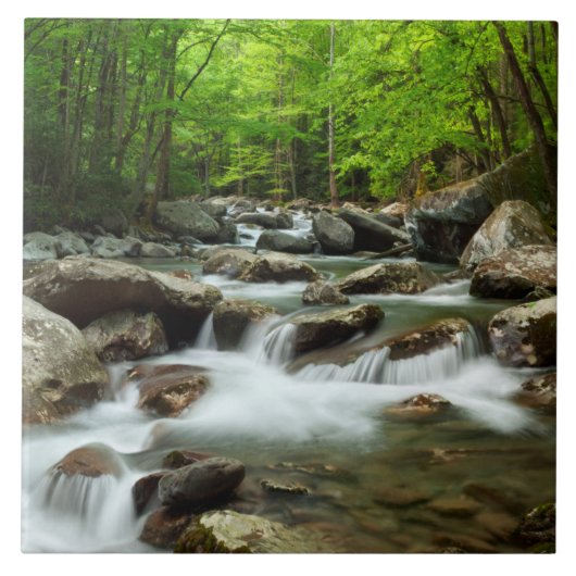 Little Pigeon River van Greenbrier Tegeltje (Voorkant)