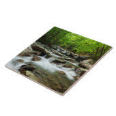 Little Pigeon River van Greenbrier Tegeltje (Zijkant)