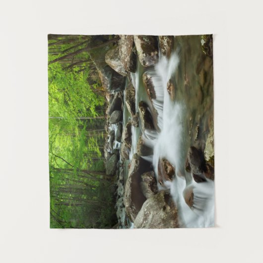 Little Pigeon River van Greenbrier Wandkleed (Voorkant)