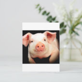 Little Piggy Briefkaart (Staand voorkant)