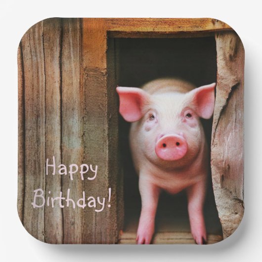 Little Piggy Happy Birthday Papieren Bordje (Voorkant)