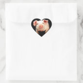 Little Piggy Hart Sticker (Tas)