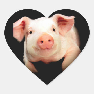 Little Piggy Hart Sticker