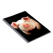 Little Piggy Notitieboek (Rechterzijde)