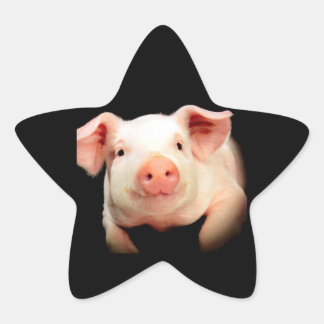 Little Piggy Ster Sticker