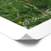 Little Piglet die in Flowers loopt Poster (Hoek)