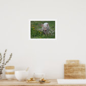 Little Piglet die in Flowers loopt Poster (Keuken)