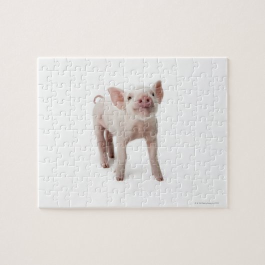 Little Piglet Legpuzzel (Horizontaal)