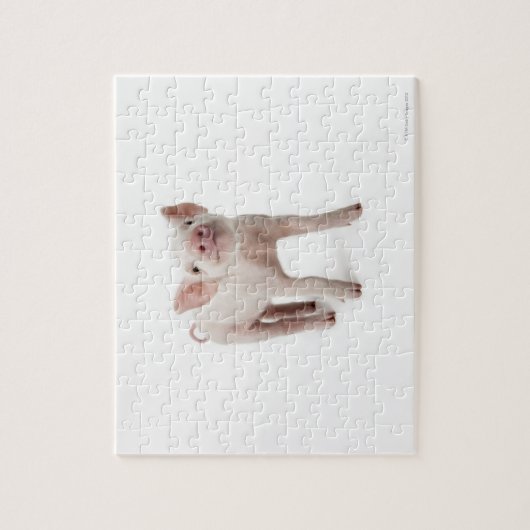 Little Piglet Legpuzzel (Verticaal)