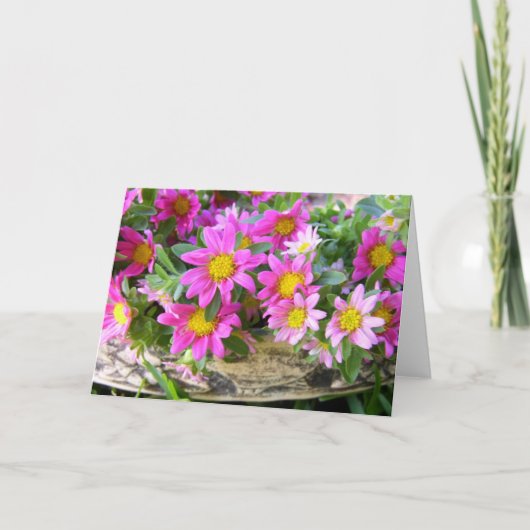 Little Pinks Kaart (Voorkant)