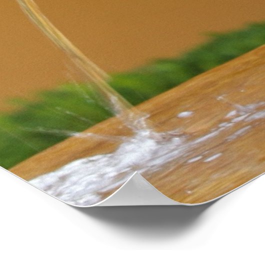 Little Pisser Poster (Hoek)