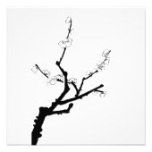 Little Plum Blossom Twig Foto Afdruk (Voorkant)