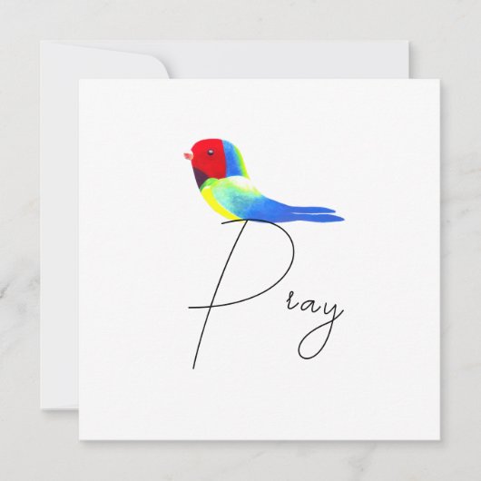 Little Prayer Bird (Voorkant)