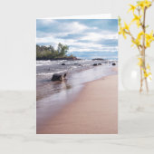 Little Presque Isle Kaart (Gele Bloem)