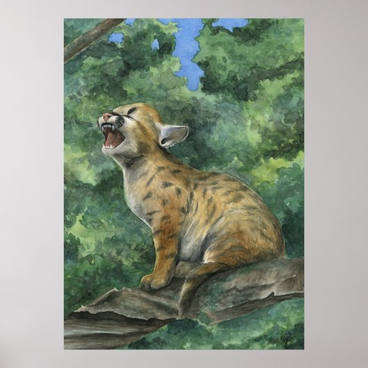 Little Puma Poster (Voorkant)