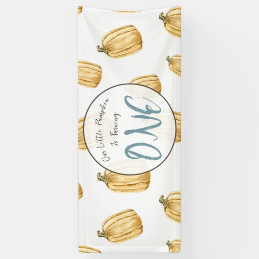 Little Pumpkin Boys Herfst Verjaardagsfeestje Spandoek (Verticaal)