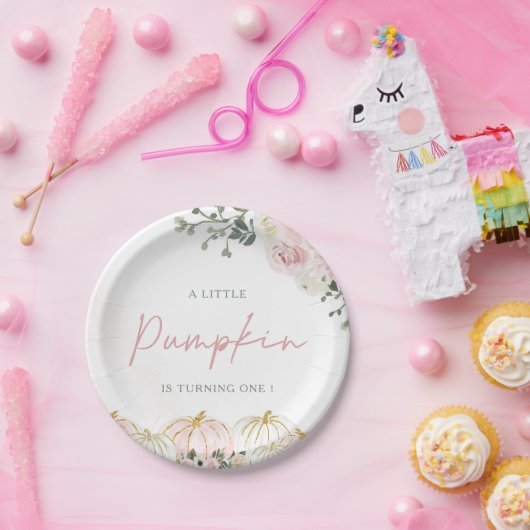 Little Pumpkin First Birthday Party Papieren Bordje (Feest)