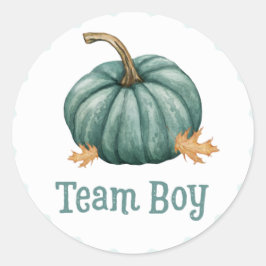 Little Pumpkin Gender Team Boy onthult Stickers
